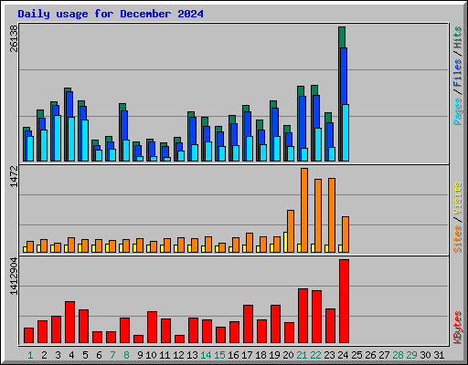 Daily usage for December 2024