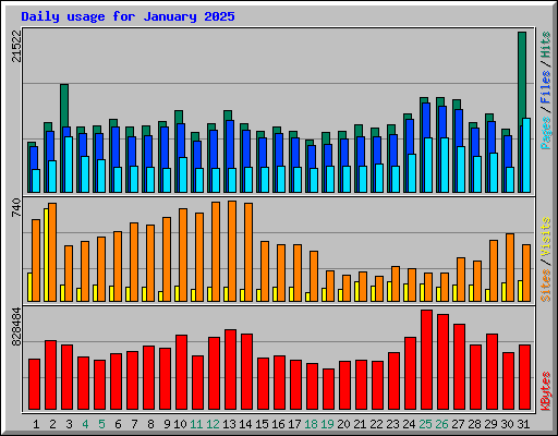 Daily usage for January 2025