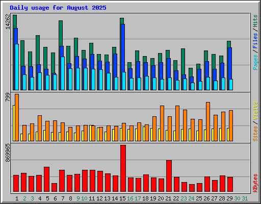 Daily usage for August 2025