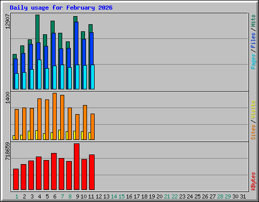 Daily usage for February 2026