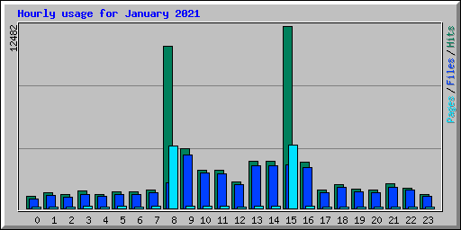 Hourly usage for January 2021