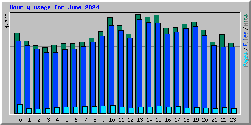 Hourly usage for June 2024