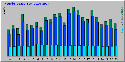 Hourly usage for July 2024