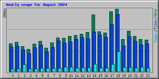 Hourly usage for August 2024