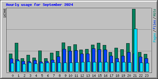 Hourly usage for September 2024