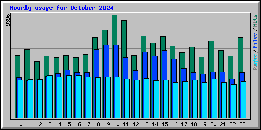 Hourly usage for October 2024