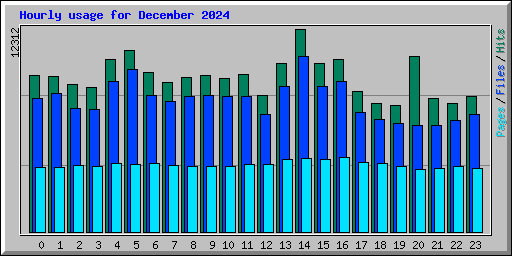 Hourly usage for December 2024