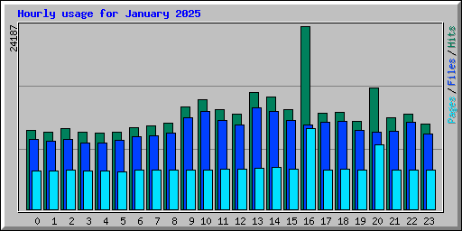 Hourly usage for January 2025