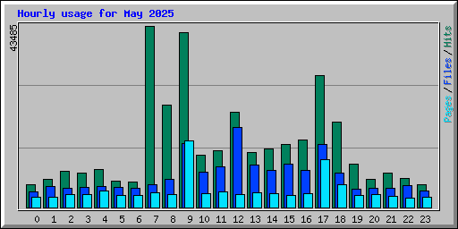 Hourly usage for May 2025