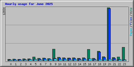 Hourly usage for June 2025