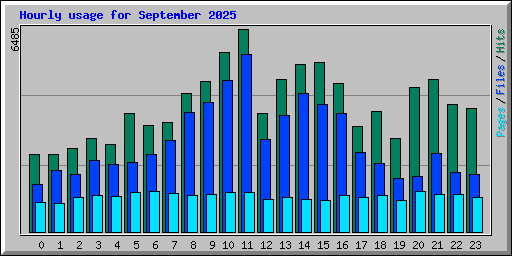 Hourly usage for September 2025