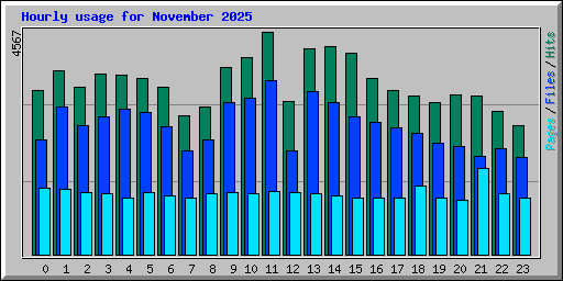 Hourly usage for November 2025