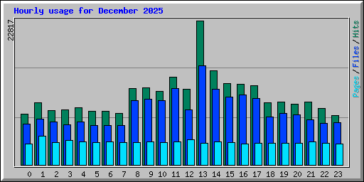Hourly usage for December 2025
