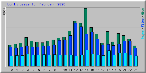 Hourly usage for February 2026